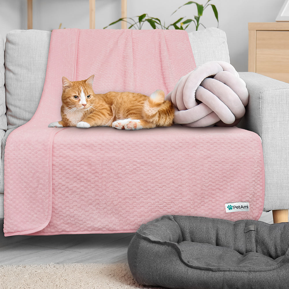 Waterproof Waffle Textured Pet Blanket – PetAmi