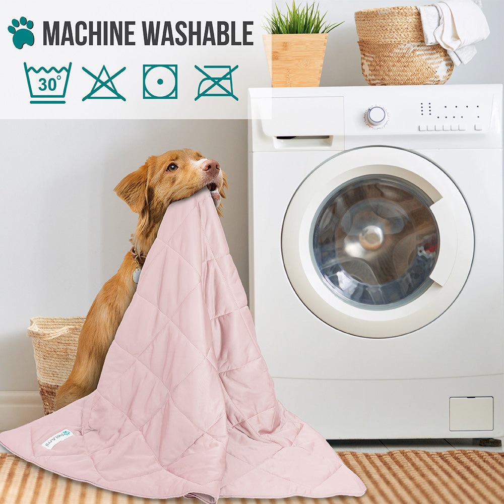 Cooling blanket for online dogs