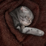Fluffy Pet Blanket