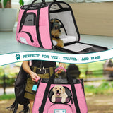 Classic Tote Bag Pet Carrier