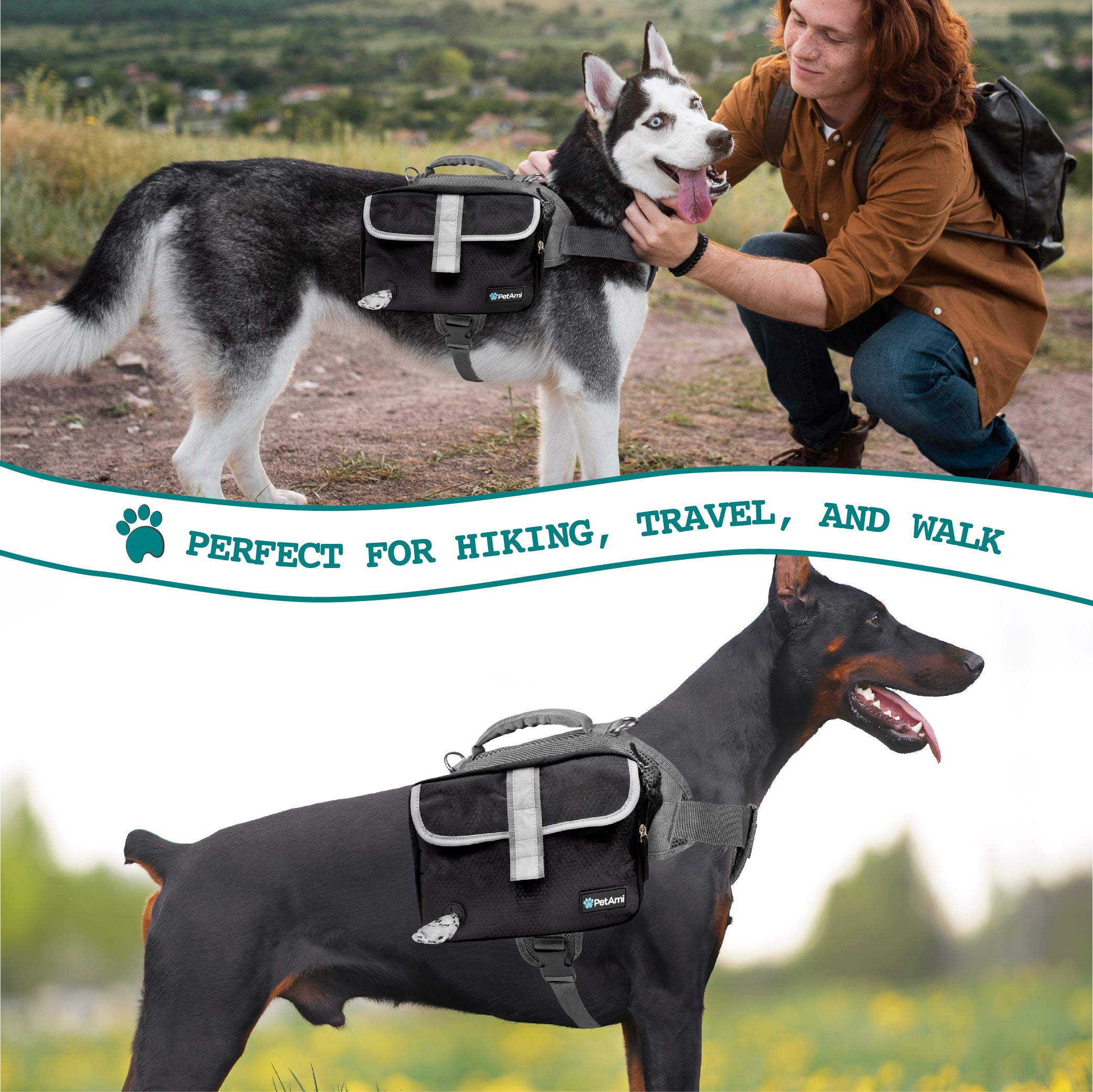 Saddle bag hotsell harness for dogs